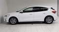 Ford Focus 1,5 EcoBlue Titanium Business*SHZ*KEYLESS*NAVI* Weiß - thumbnail 7