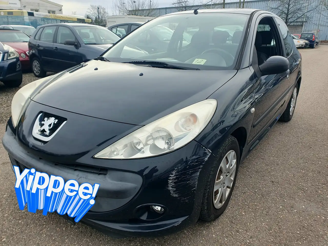 Peugeot 206 AFFAIRE 1.4 HDI 70 BLUE LION STANDARD