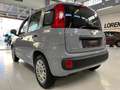 Fiat Panda 1.2 Lounge s&s 69cv my19 Grau - thumbnail 16