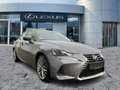 Lexus IS 300 h Luxury Line Schiebedach*ACC*Navi*KAM*DAB Grau - thumbnail 6