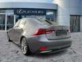 Lexus IS 300 h Luxury Line Schiebedach*ACC*Navi*KAM*DAB Grau - thumbnail 5