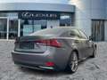 Lexus IS 300 h Luxury Line Schiebedach*ACC*Navi*KAM*DAB Grau - thumbnail 6