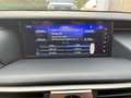 Lexus IS 300 h Luxury Line Schiebedach*ACC*Navi*KAM*DAB Grau - thumbnail 13