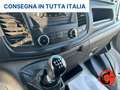 Ford Transit 35 2.0 TDCI 170 CV L3H2-EURO 6D-TEMP-BLUETOOTH Білий - thumbnail 30
