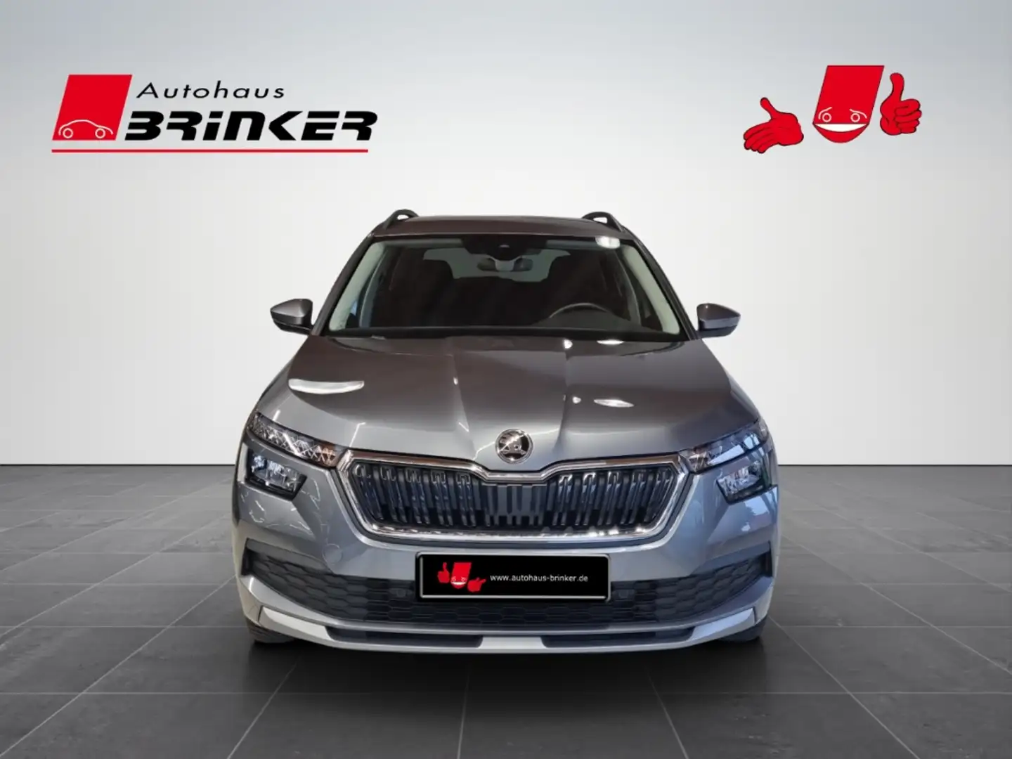 Skoda Kamiq Tour LED Sperrdiff. Apple CarPlay Android Auto Meh Grau - 2