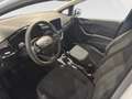 Ford Fiesta 5p 1.5 ecoblue Business 85cv Bianco - thumbnail 11
