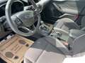 Ford Focus Cool & Connect DEH Blau - thumbnail 9