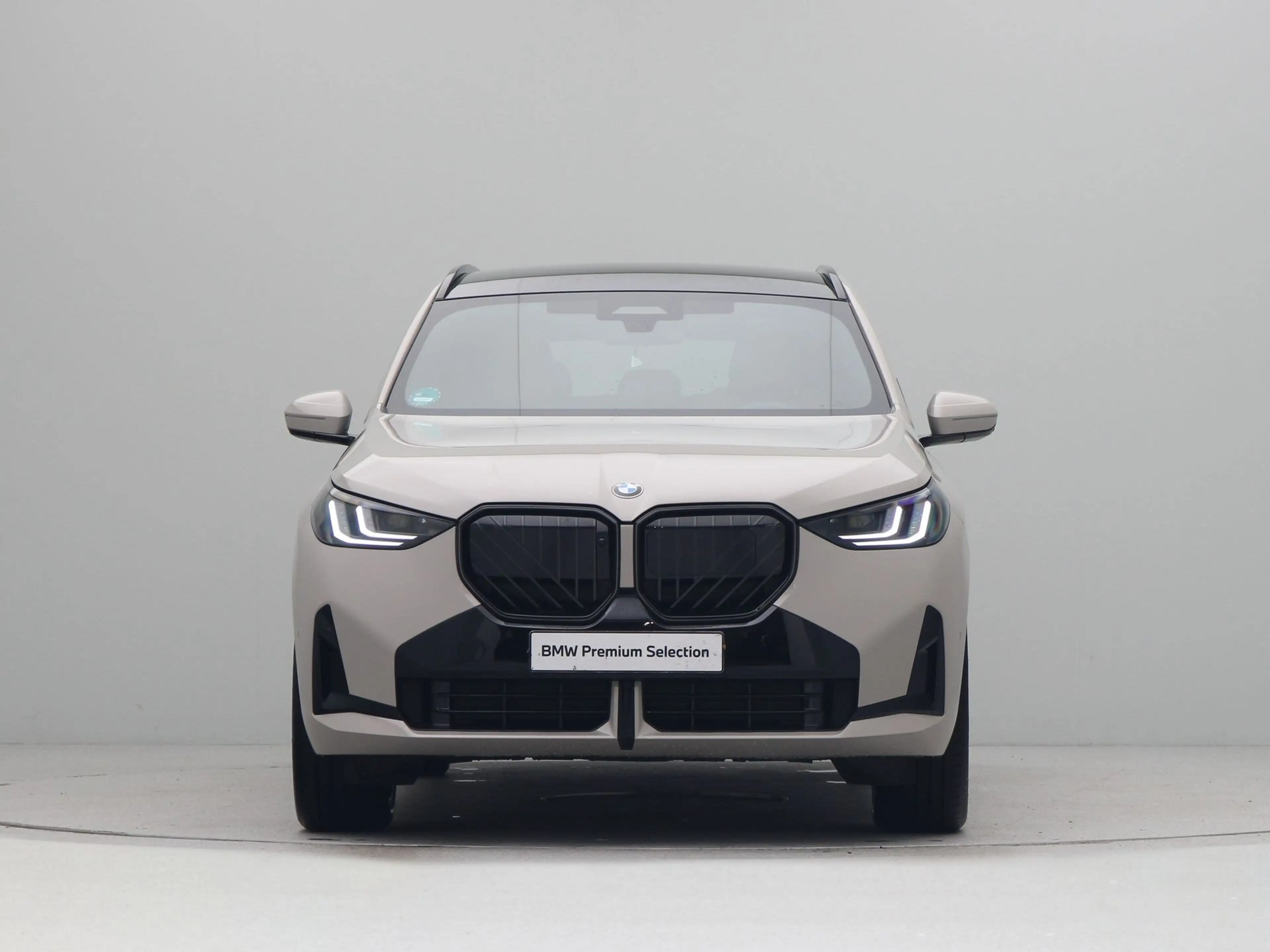 BMW X3 30e xDrive — photo 6