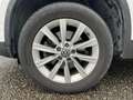 Volkswagen Tiguan N1 2.0 TDI 140 CARAT 4MOTION Blanc - thumbnail 24