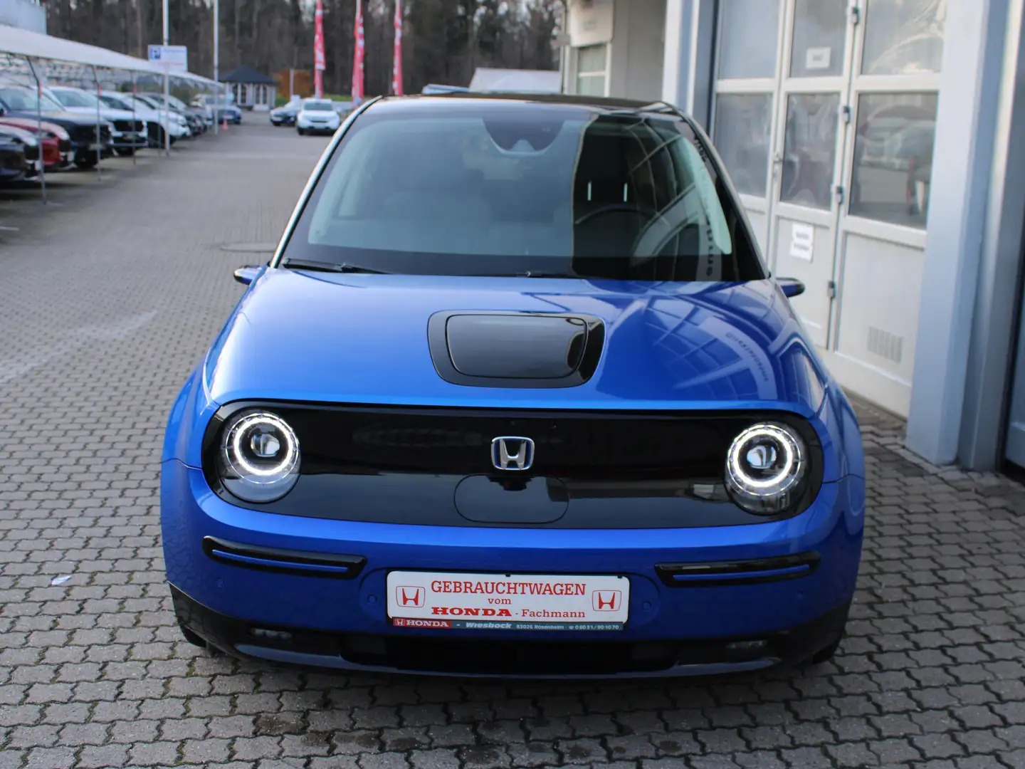 Honda e Advance (Vollelektrisch) Blu/Azzurro - 2
