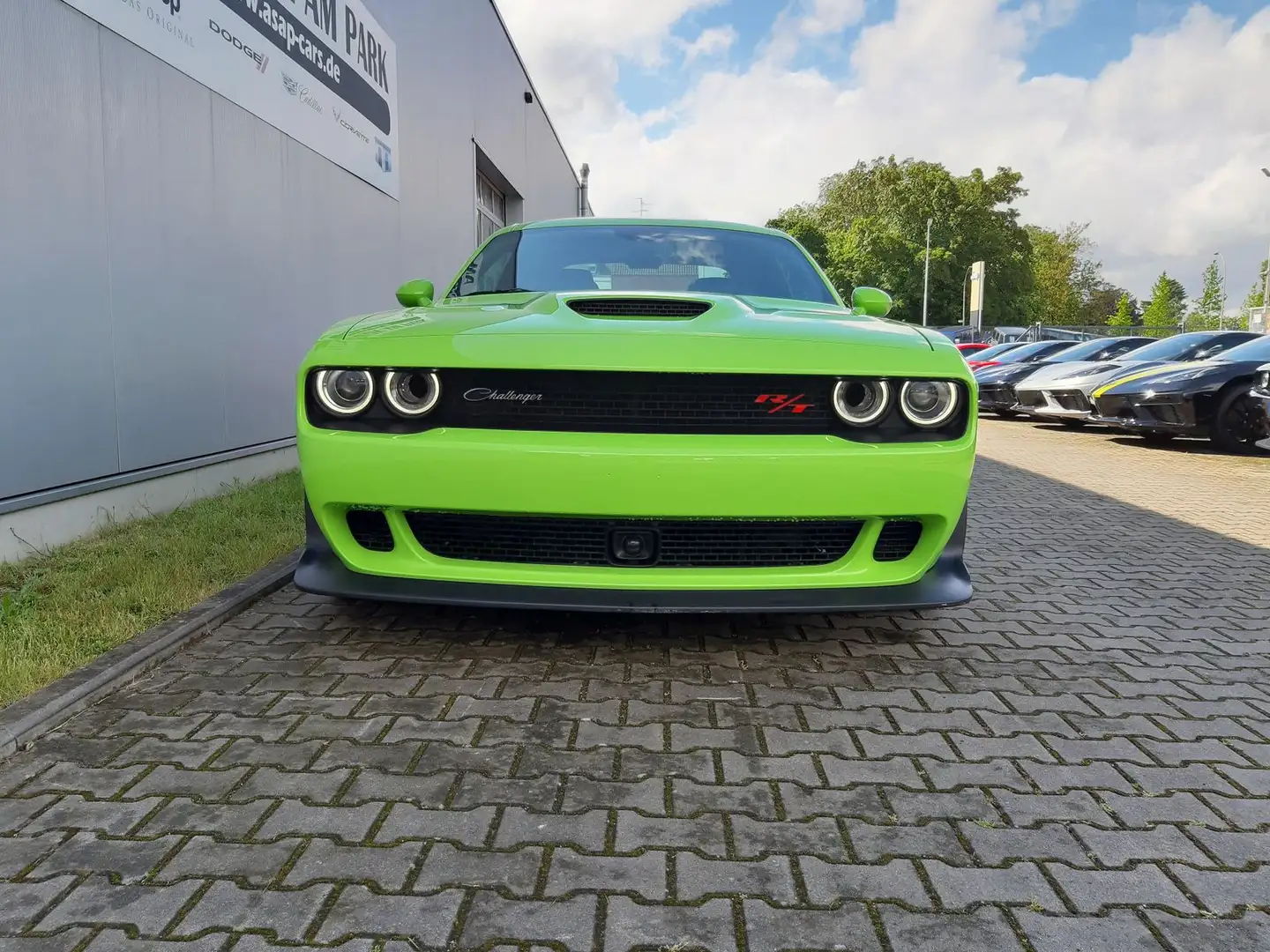 Dodge Challenger R/T ScatPack 6.4V8 Widebody Last Call Grün - 2