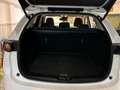Mazda CX-5 2.0 Zenith 2WD 121kW Blanco - thumbnail 12