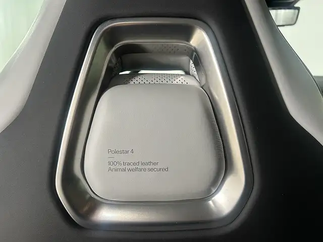 Polestar Sonstige Polestar 4 Long Range Dual Motor mit Performanc... Ansicht 31