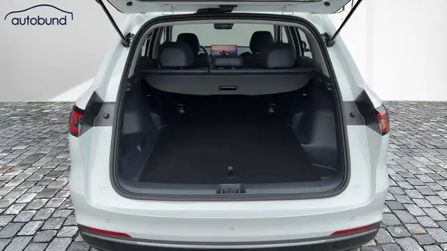 Geely Starray Em-I view 8