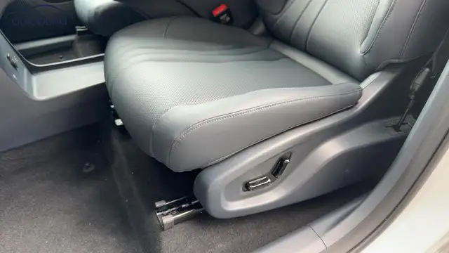 Geely Starray Em-I view 25