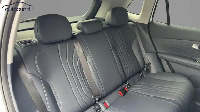 Geely Starray Em-I view 7