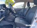 Suzuki Celerio Basis 1.0 Klima ALU USB Freisprech Zentralverriege Weiß - thumbnail 10