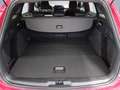 Ford Focus Turnier 1.0 MHEV Aut. ST-LINE X *WinterPk*ACC* Червоний - thumbnail 7