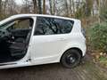 Renault Scenic Scenic dCi 110 EDC Bose Edition Weiß - thumbnail 11