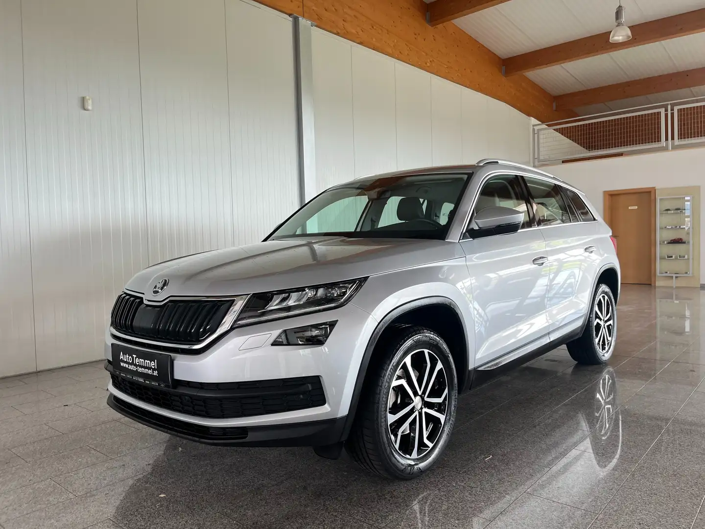 Skoda Kodiaq Style Zilver - 2