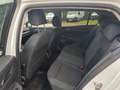 Volkswagen Golf 1.5 eTSI 150 CV EVO ACT DSG Blanc - thumbnail 12