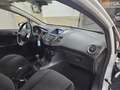 Ford Fiesta 5p 1.5 tdci Plus 75cv E6 - thumbnail 13