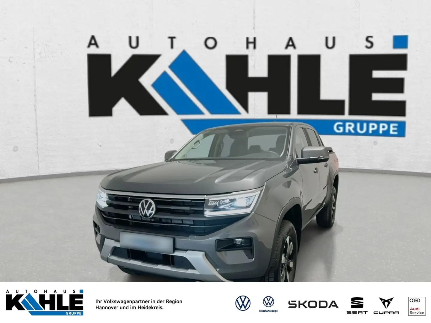 Volkswagen Amarok Life DC 2.0 TDI Automatik 4MOTION Klima Grau - 1