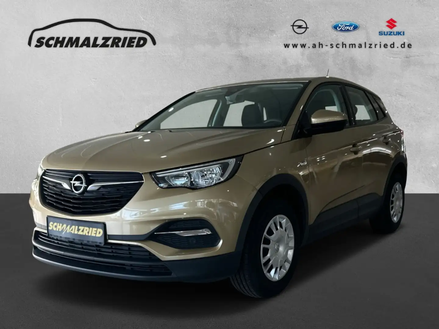 Opel Grandland X Selection 1.2 Turbo AHK-abnehmbar Verkehrszeichene Бежевий - 1
