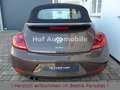 Volkswagen Beetle 1.4TSI Sport Leder Xenon Navi 1.Hand Braun - thumbnail 6