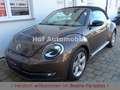 Volkswagen Beetle 1.4TSI Sport Leder Xenon Navi 1.Hand Braun - thumbnail 7