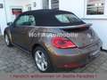 Volkswagen Beetle 1.4TSI Sport Leder Xenon Navi 1.Hand Braun - thumbnail 4