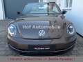 Volkswagen Beetle 1.4TSI Sport Leder Xenon Navi 1.Hand Braun - thumbnail 5