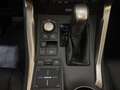 Lexus NX 300h 2.5 HYBRID Privilège-Line Grigio - thumbnail 6
