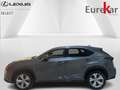 Lexus NX 300h 2.5 HYBRID Privilège-Line Grigio - thumbnail 2