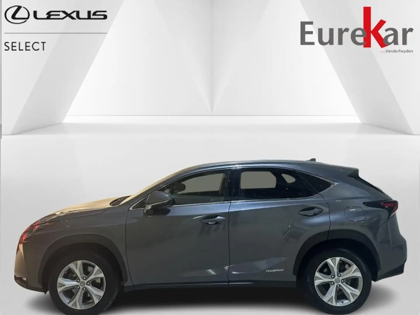 Lexus NX 300h 2.5 HYBRID Privilège-Line Grigio - 2
