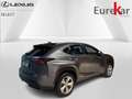 Lexus NX 300h 2.5 HYBRID Privilège-Line Grigio - thumbnail 3