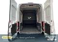 Ford Transit 350 L3H3 Lkw VA - thumbnail 6