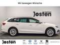 Skoda Octavia iV 1.4 TSI LED Virtual CarPlay PDC Weiß - thumbnail 14