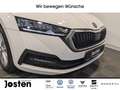 Skoda Octavia iV 1.4 TSI LED Virtual CarPlay PDC Weiß - thumbnail 13