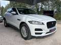 Jaguar F-Pace 2.0 D - 180 ch AWD BVA8 Pure Blanco - thumbnail 3
