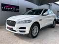 Jaguar F-Pace 2.0 D - 180 ch AWD BVA8 Pure Blanco - thumbnail 1