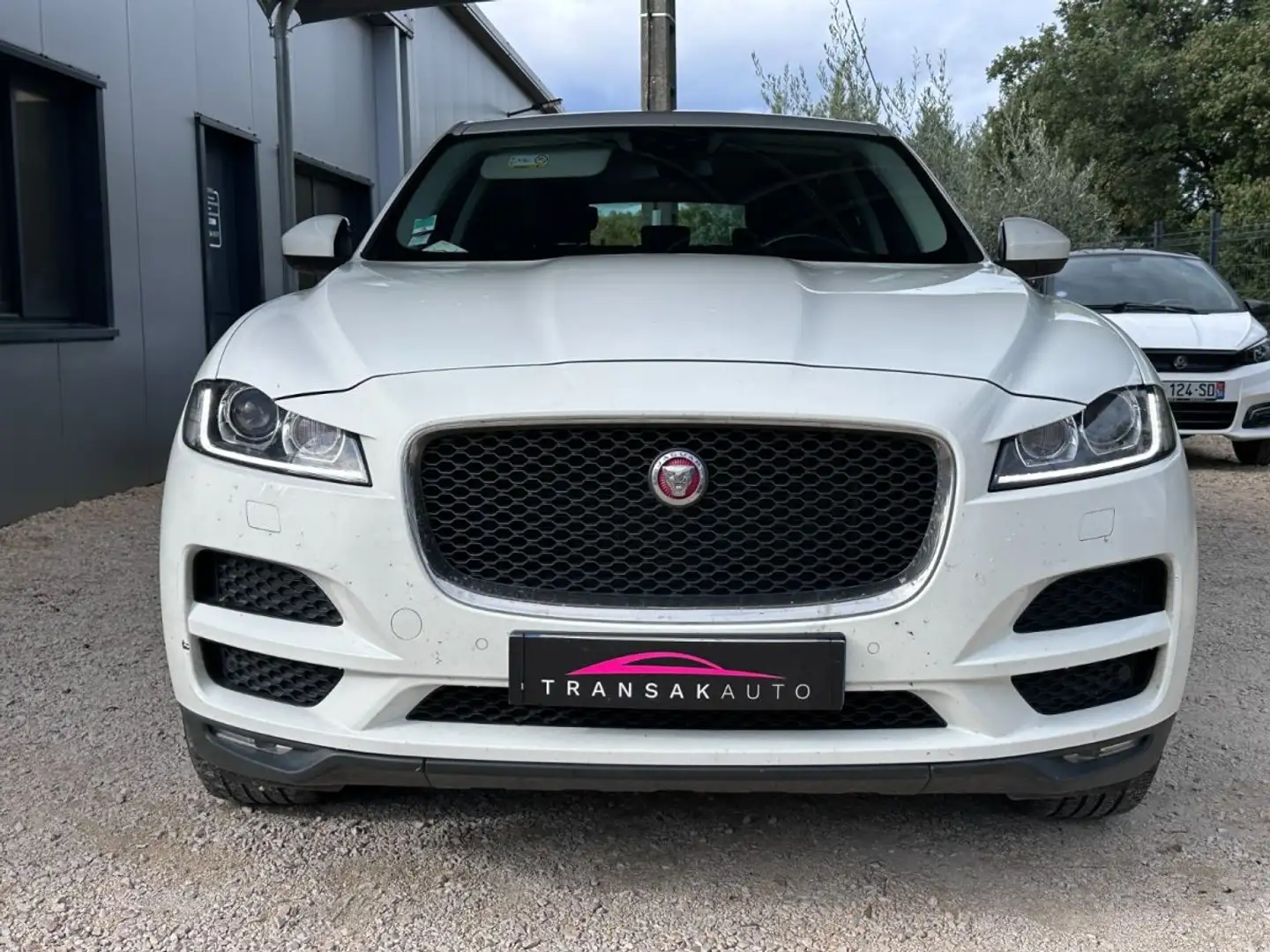 Jaguar F-Pace 2.0 D - 180 ch AWD BVA8 Pure Wit - 2