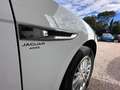 Jaguar F-Pace 2.0 D - 180 ch AWD BVA8 Pure Blanco - thumbnail 31