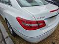 Mercedes-Benz E 250 COUPE+E+250+CDI+BE+Avantgarde Wit - thumbnail 6