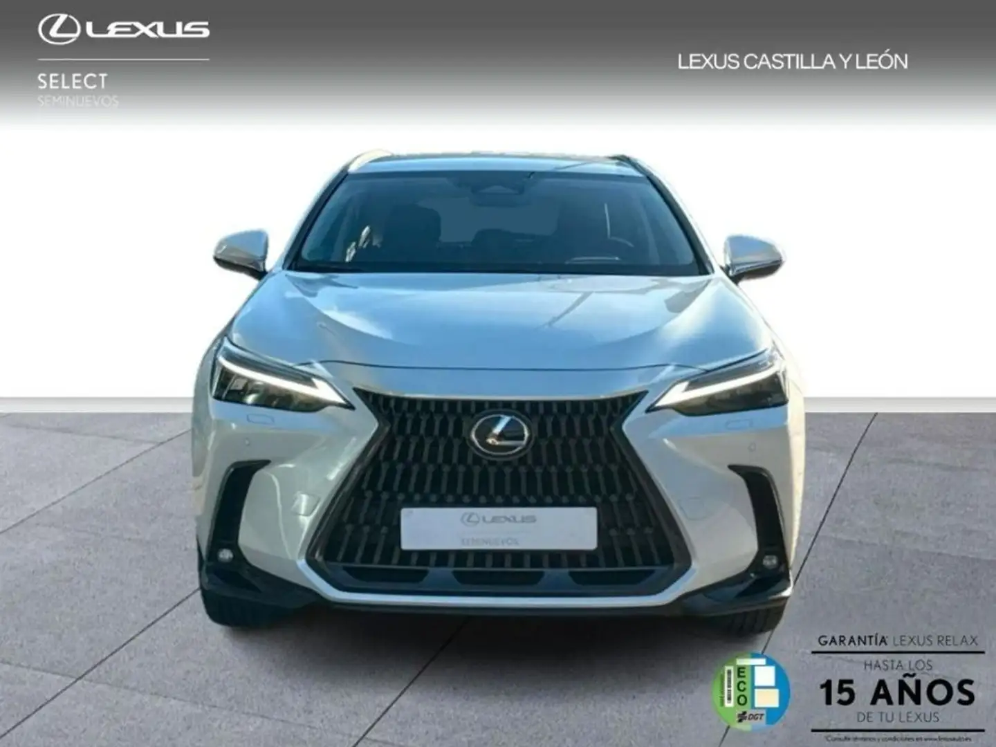 Lexus NX 350h Executive+ 4WD Blanc - 2