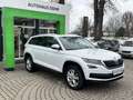 Skoda Kodiaq Style 4x4 Weiß - thumbnail 1