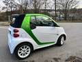 smart forTwo electric drive Groen - thumbnail 6