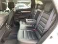 Renault Koleos BLUE DCI 185 4WD Initiale Paris LED+NAVI+KLIMA Weiß - thumbnail 11
