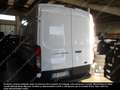 Ford e Transit V363 - e Transit 350 L2H2 68kWh 184cv tr Weiß - thumbnail 3