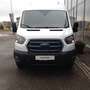 Ford E-Transit E-Transit Kasten 67kWh/135kW L2H2 390 Trend Weiß - thumbnail 2